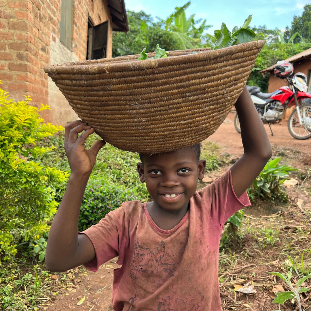RTVorg's tweet photo. Catherine carries a basket of nutritious crops to her home after harvesting vegetables from seedlings distributed as part of #RTV's "Secure, Improve, Sustain" program. Give more families like Catherine's access to healthy meals by donating here: https://t.co/Z7tvjm1yCw
#Donate https://t.co/qggC776Efn