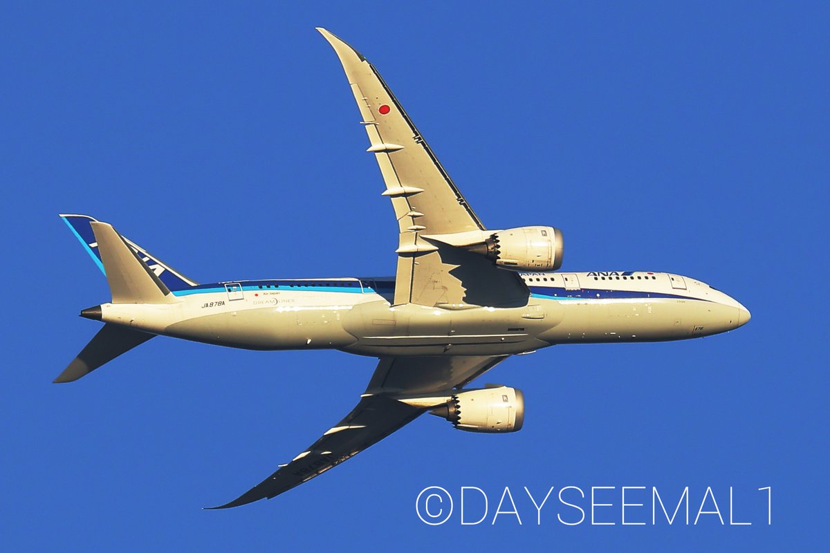 DAYSEEMAL1's tweet photo. 久々に夕陽を受けてレフトターンするヒコーキ達を。17:50前後の5分間は最高です(´- `*)

#僕らは空で繋がっている
① #JA878A #B787 -8 #NH470
② #JA937A #B787 -9 #NH260
③ #JA13XJ #A350 -941 #JL320
④ #JA818A #B787 -8 #NH34
2022/8/18 https://t.co/jGhiz165nX