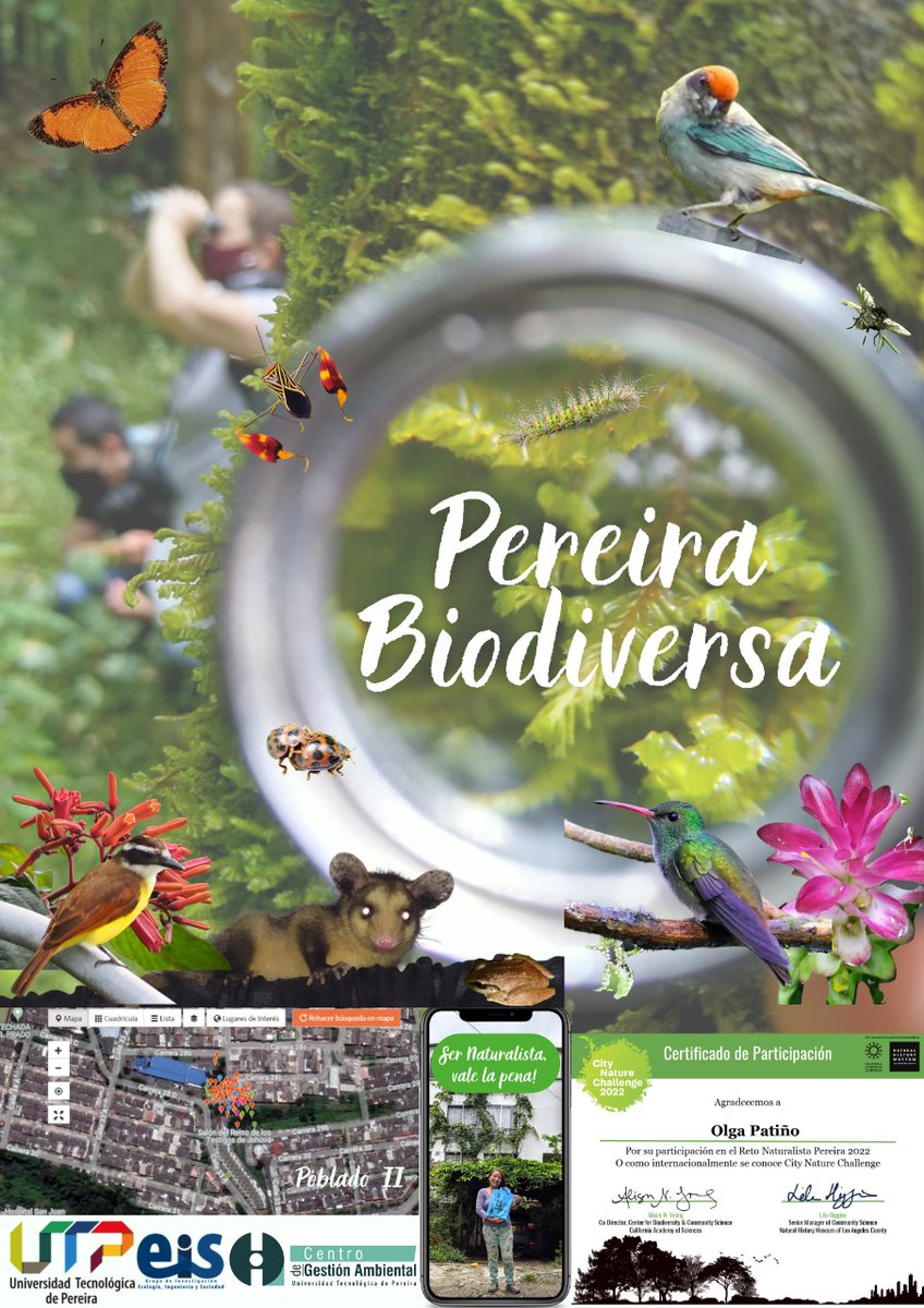 CNCPereira's tweet photo. La #PereiraBiodiversa es afortunada al tener ciudadanos que aman esta ciudad y buscan resifgnificar el valor de la biodiversidad urbana y de los servicios ecosistémicos, más cuando tenemos  suelos de protección que debemos resguardar! 💚 https://t.co/MZk9AS98nb
