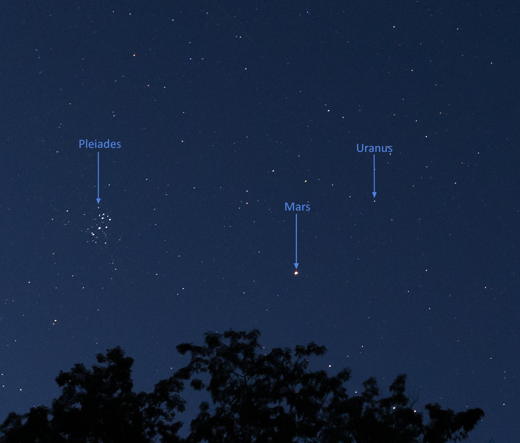 Ameet Kini, MD, PhD tweet media