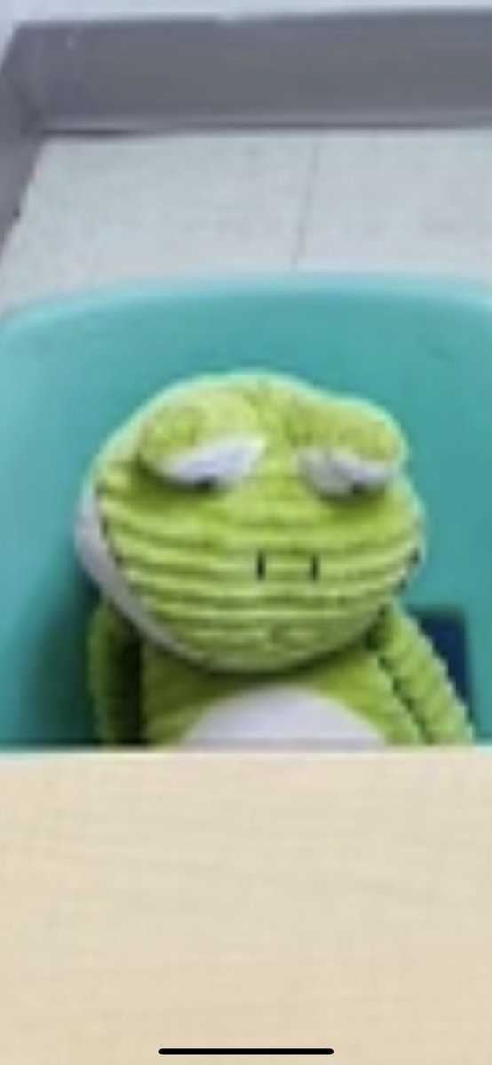 DougyTweets10's tweet photo. My son’s stuffed frog Dale has been through it, man. https://t.co/sO1j1hd2tZ