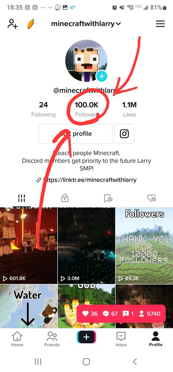 Minecraft With Larry tweet media