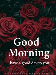 Dickson Charlie (@dickson37936837) on Twitter photo 