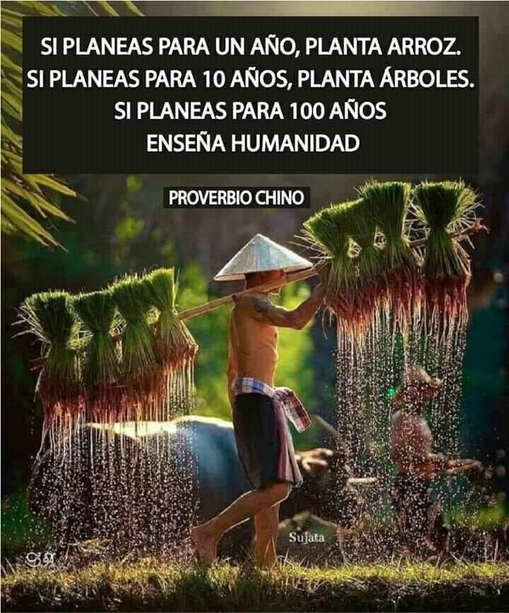 Namaste_Mandala's tweet photo. https://t.co/nOOR714GFg