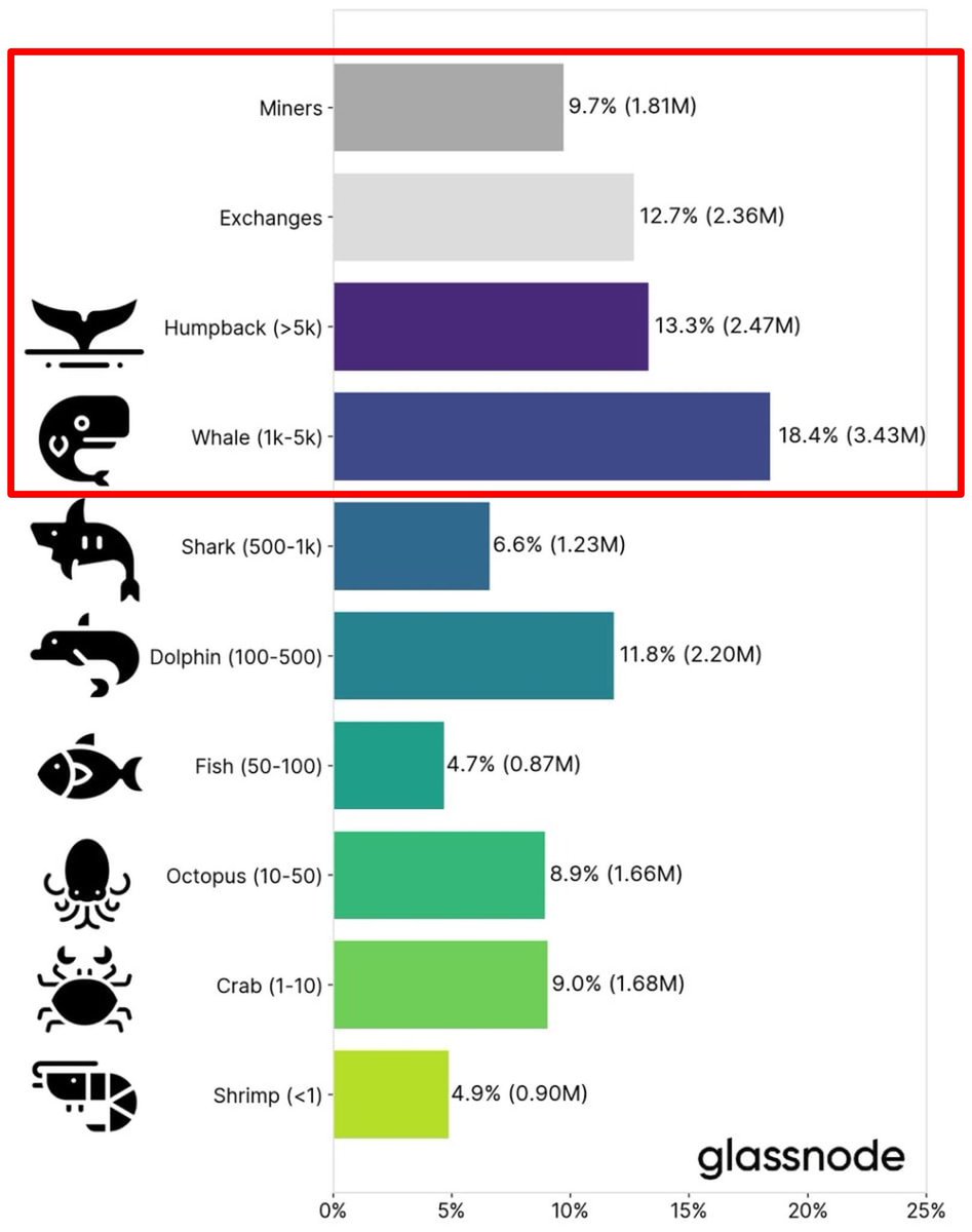 gencapital_io's tweet photo. Bạn có biết không?

Hơn 50% nguồn cung lưu hành của #Bitcoin do cá voi, sàn giao dịch và thợ mỏ nắm giữ.

Nếu bạn hiểu cách chơi của các tay to này, bạn sẽ có thể lập kế hoạch trước và đưa ra quyết định đầu tư tốt hơn. https://t.co/304ogmGzJf