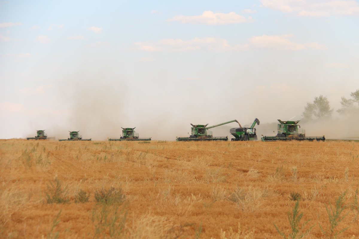 Brenda Walde tweet media