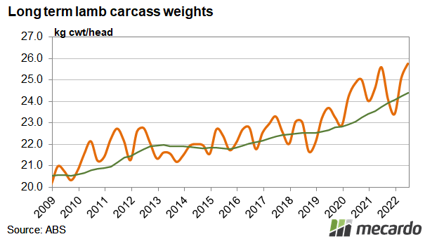 A new record was hit for average lamb weights  in the june quarter of 2022 at 25.8kg cwt. 

Larger lambs are a product of the good seasonal conditions and longer term changing market needs.