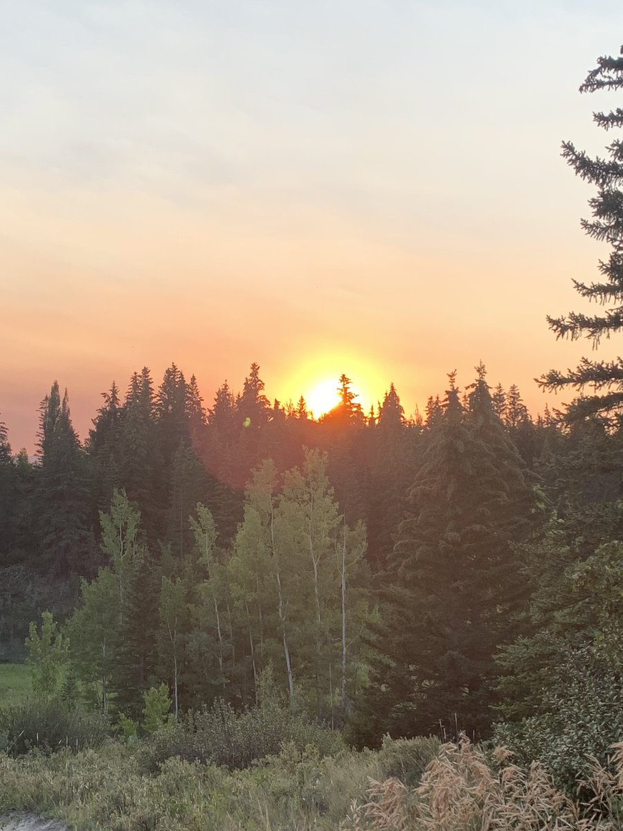 IsaScribe's tweet image. Last night’s sunset was breathtaking. 
#nature #sunset #gratitude