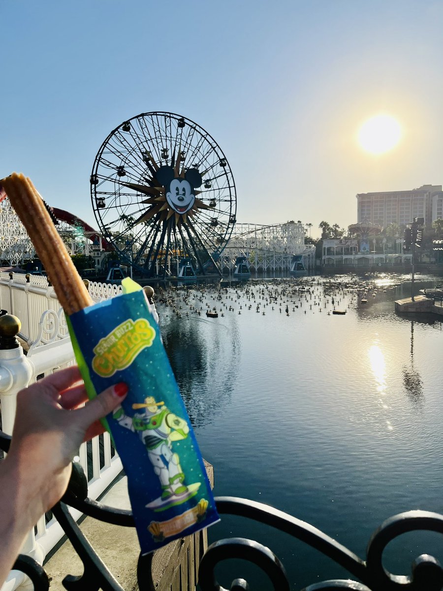 MrsOleary1814's tweet photo. Absolutely magical from start to finish 🇺🇸❤️😁 @Disneyland #SummerHolidayNumberTwo #SummerTime #Summer2022 #FamilyFunInTheSun #California https://t.co/E2OPzTA5YR