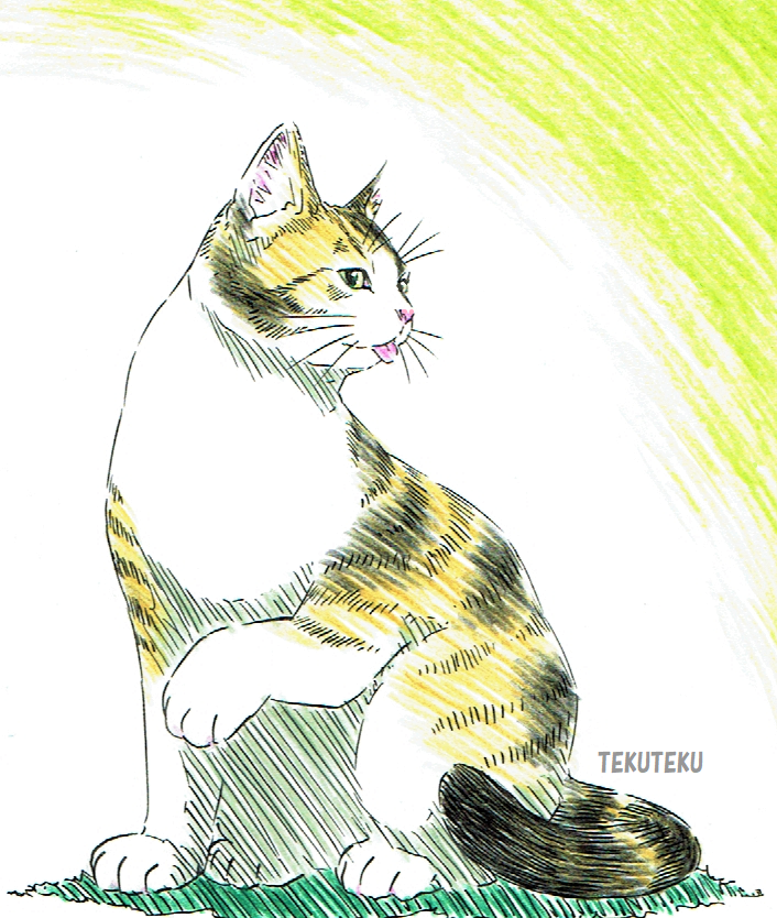 「虫鳴いて 一句詠もうか  五(ご～)・七・五 #俳句の日 #illustrati」|TEKUTEKUのイラスト