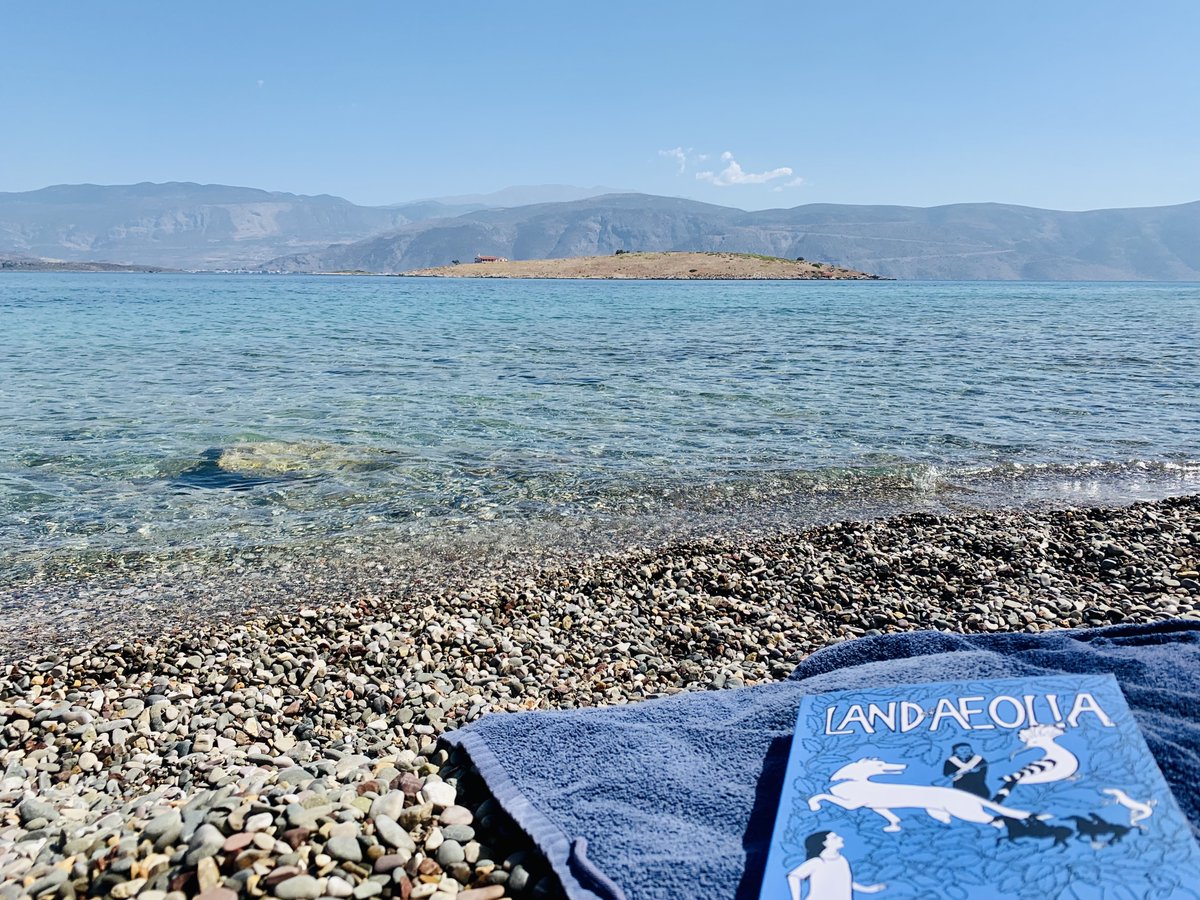 Dr Kelcey Wilson-Lee tweet media