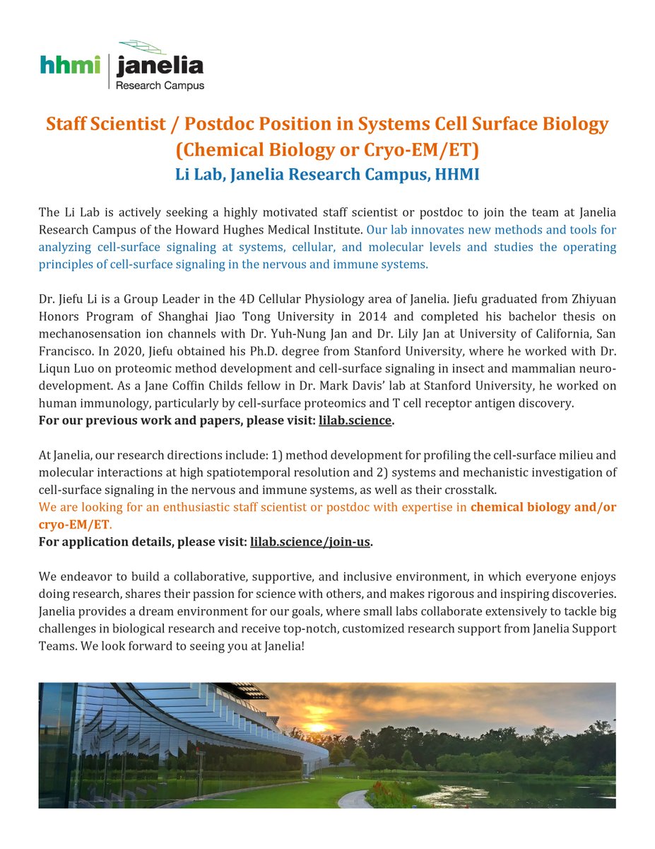 We are looking for a staff scientist or postdoc with chemical biology or cryo-EM/ET expertise to join our team @HHMIJanelia @HHMINEWS and study cell-surface signals in the brain and immune system.