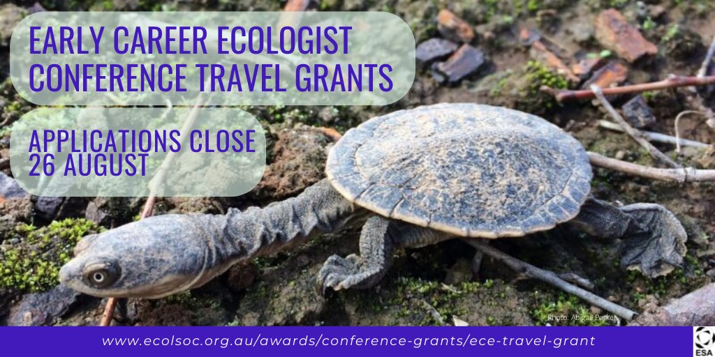 🚨Early Career Ecologists🚨 Less than a week left to apply for a travel grant for #ESASCBO2022! Up to $1000 per applicant available for conference-related costs e.g. registration, accommodation, travel, childcare. Closing 26 August.

ecolsoc.org.au/awards/confere…

📷️: <a href="/AbigailLParker/">Abigail Parker (she/her)🧜🏻‍♀️🐢</a>