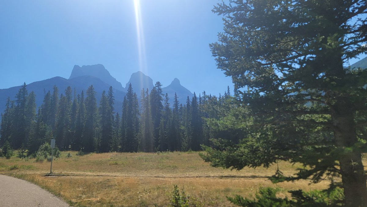 Chris Szarka (@zark54) on Twitter photo 