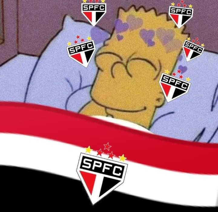 RedeSPFC_'s tweet photo. O adm tá indo dormir. Comemore muito Tricolores. Nós merecemos, o @SaoPauloFC merece. E lembre-se, O SÃO PAULO É GIGANTE. #VamosSãoPaulo #RedeSPFC https://t.co/osAEFVrA96