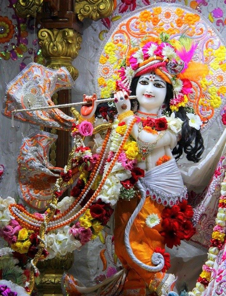 _lokeshsharma's tweet photo. श्री कृष्ण जन्माष्टमी के पावन पर्व की सभी को हार्दिक शुभकामनाएं। 
#जय_श्री_कृष्ण...
Happy Janmashtami! https://t.co/dDKOR5hSjd