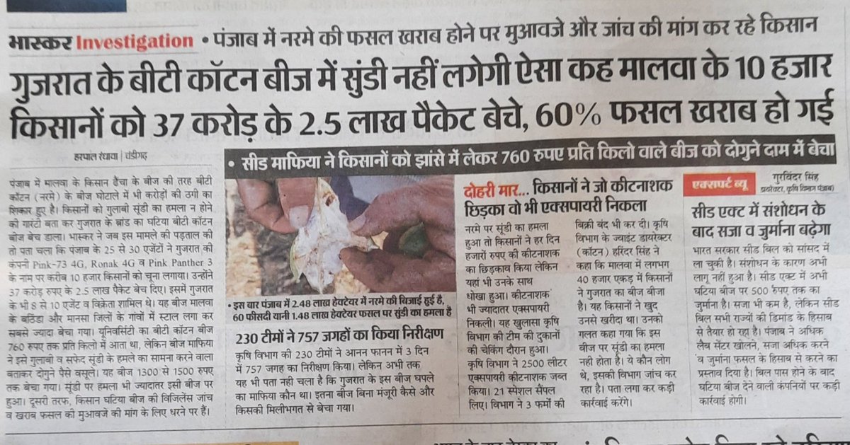 Devinder_Sharma's tweet photo. Selling sub-standard seed attracts a penalty of Rs 500, says Director Agriculture. No wonder, sale of spurious seed growing in Punjab. https://t.co/CW0AGCxIz1