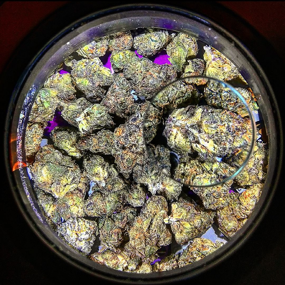 mason_brite's tweet photo. #Cannabis #GROWERS! v3.0 Sale Ends Sep 1!
Brag About Your #HomeGrow in Style!
✅Improved #Battery (6+ Hours)
✅3 Light Settings
✅Delayed ON/OFF Button
✅Additional #Airtight Lid
✅#UVProtected #StashJar Option
SHOP NOW 👇https://t.co/Ah3PZ8YwWz
crdt: @Cloudmouthvaper https://t.co/AV9YZNYt0m