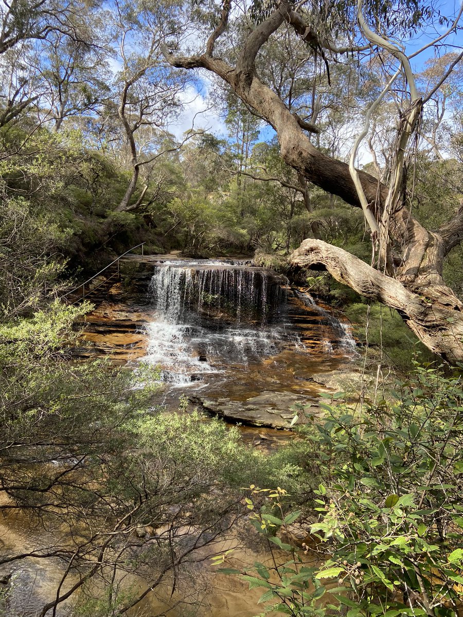 Luke Carr tweet media