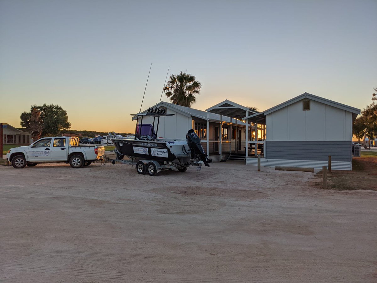 Shark Bay Dolphin Research (@researchdolphin) on Twitter photo We are incredibly grateful for the investment by <a href="/UZH_Science/">UZH Science</a> into our long-term fieldwork and our amazing new research station that makes fieldwork more productive (and comfortable!) 🙏🏻 #40years We are incredibly grateful for the investment by <a href="/UZH_Science/">UZH Science</a> into our long-term fieldwork and our amazing new research station that makes fieldwork more productive (and comfortable!) 🙏🏻 #40years