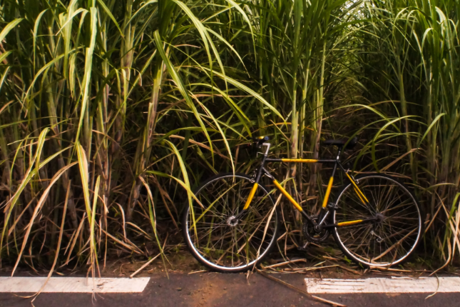 Big weekend for Hackathons this weekend in Mackay with 2 FREE events kicking off Friday evening:

MackHack - mackhack.com.au
GovHack - govhack.org

Registrations are still open for both, with discussions happening on the sugarcity.io Slack group.