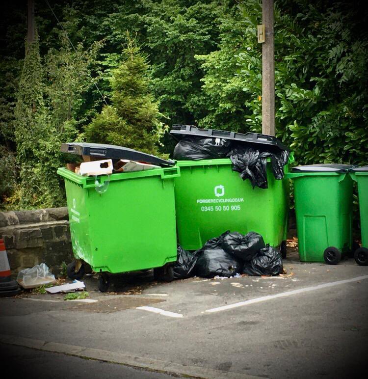 Landguardltd's tweet photo. If you need help removing some resident rats, or would benefit from a professional advisory service, please give us a call today!
#rats #ratcontrol #bins #waste #pestcontrolservices #comercialpestcontrol #pestcontrol  #familybusiness #localbusiness #otley #rodents #ilkley https://t.co/uLTQZBlooI