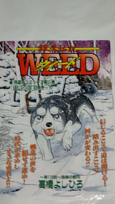 帯付きサンコミックス/銀狼伝全1巻/石川球太 Amazon.co.jp: 石川球太短編集 魔山マウジンガ (マンガショップ