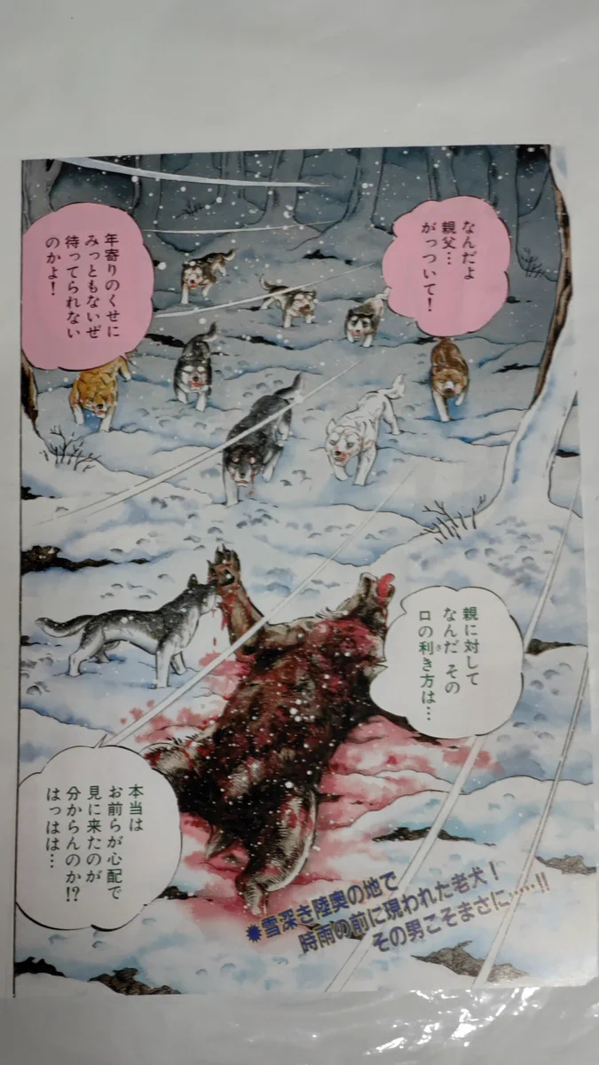 中原伸明 on X: 