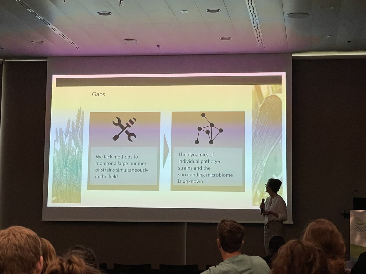 Courtney Herms (@courtney_herms) on Twitter photo Love seeing the connection to soil by <a href="/LuziaStalder/">Luzia Stalder</a>, who is examining the effects of interkingdom interactions on disease outcomes in wheat fields at a high resolution Love seeing the connection to soil by <a href="/LuziaStalder/">Luzia Stalder</a>, who is examining the effects of interkingdom interactions on disease outcomes in wheat fields at a high resolution
