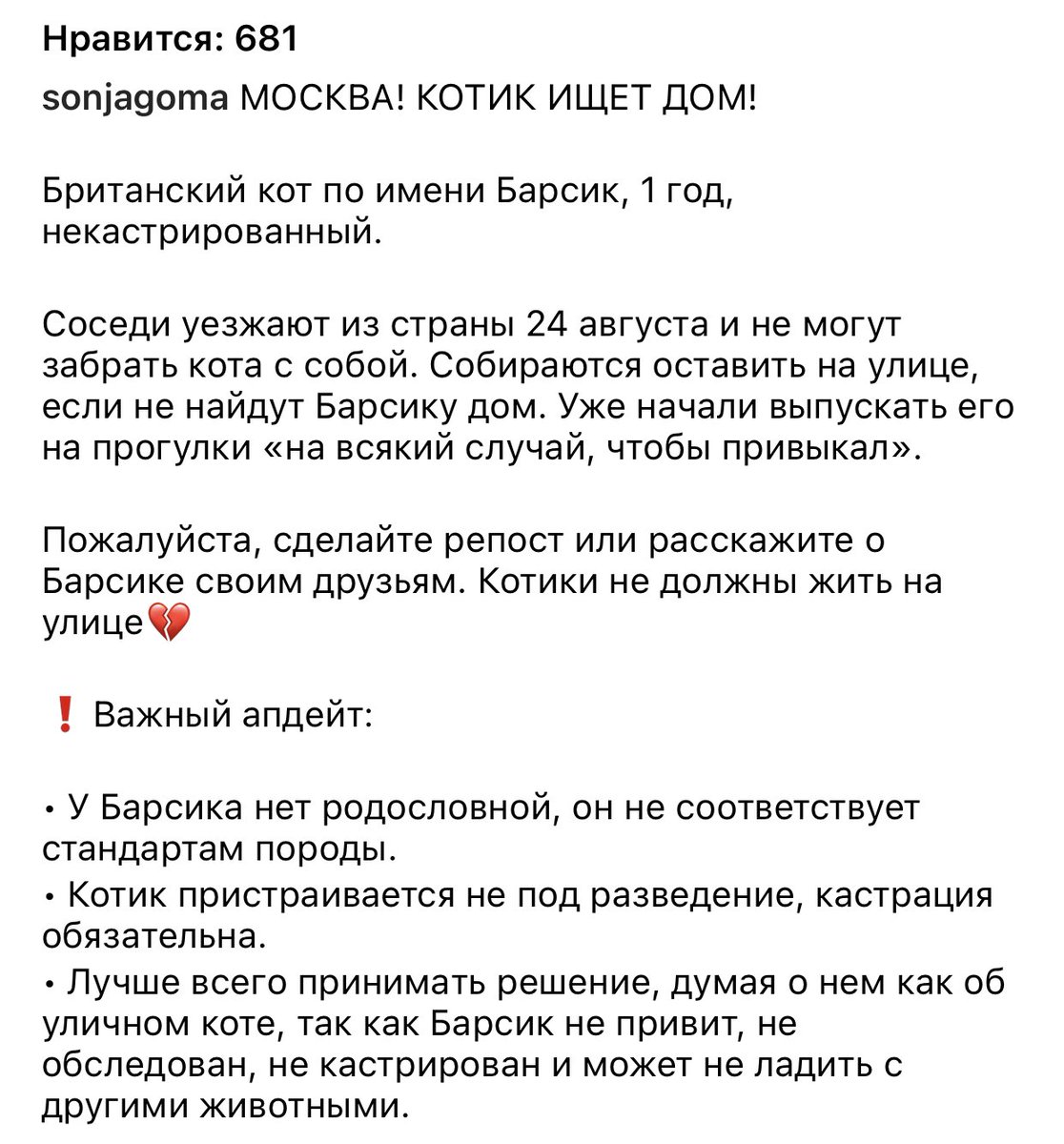 vzrosly_content's tweet photo. МОСКВАААА

Пожалуйста, распространите информацию о котике, который ищет дом 💔

https://t.co/VwE9qc6AdM https://t.co/FHhITysplH