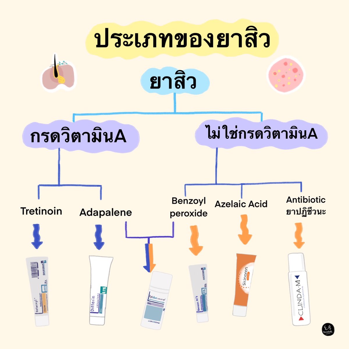 EBBahboh's tweet photo. 💙สรุปการใช้ยาสิว💜
⚠️คำเตือนก่อนใช้กลุ่มยาสิว ควรปรึกษาแพทย์ ��ละเภสัชกรก่อนใช้เสมอ!

🥰วันนี้เราได้ทำสรุปกลุ่มยาสิว แต่ละหมวดมาให้ทุกคนได้อ่าน เ��ื่อจะเป็นประโยชน์ให้หลายๆคนที่กำลังงงวิธีใช้ยาแต่ละตัวว่า แตกต่างกันยังไง เหมาะกับสิวประเภทไหน มีวิธีการใช้ยังไง!

#EBXKnowledge https://t.co/ZaOez7wzDq