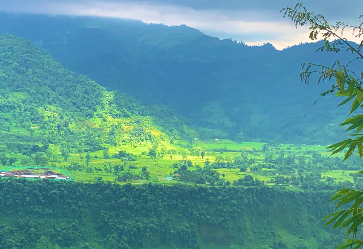 Suvankar Mandal tweet media