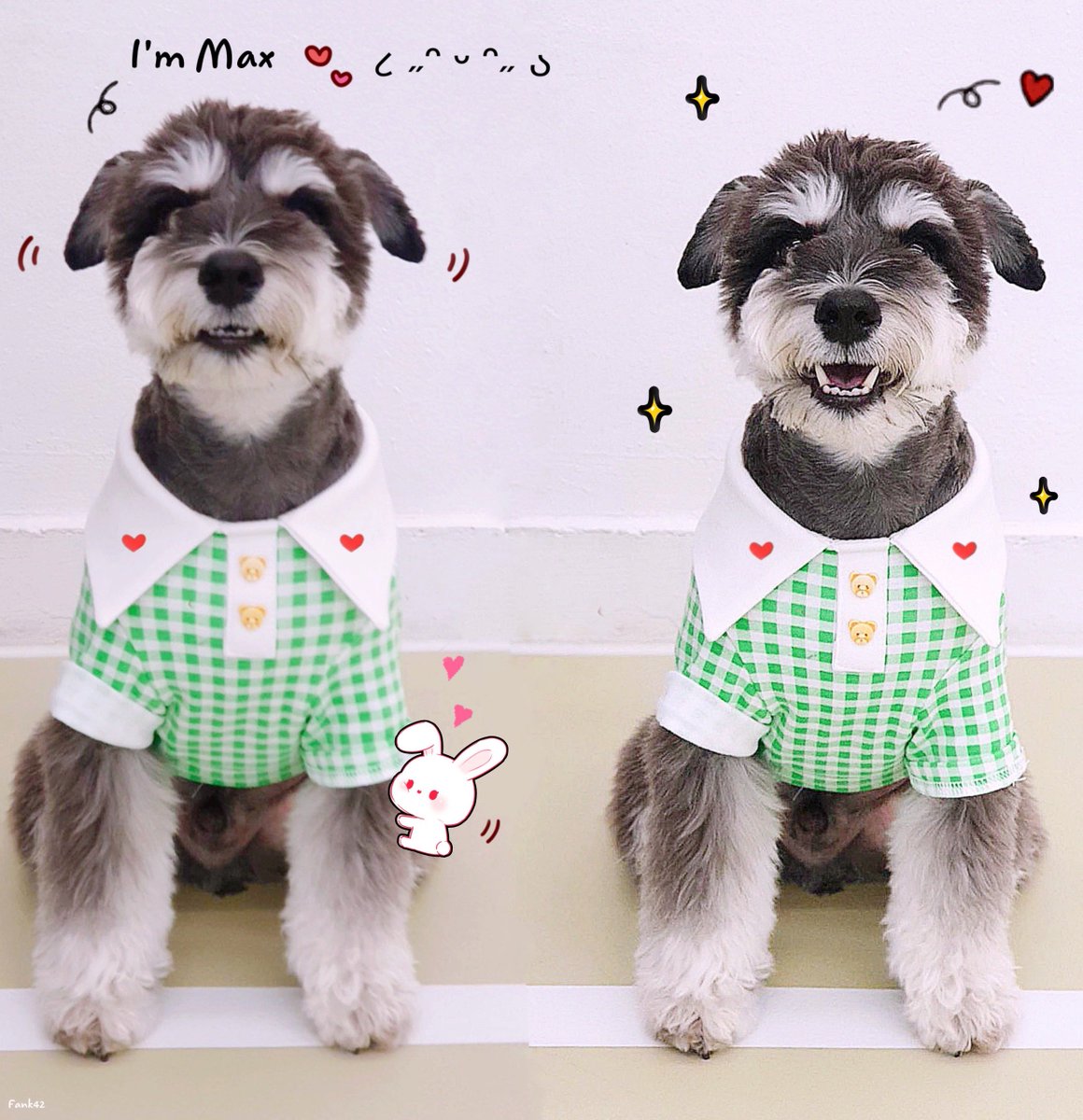 fankk42's tweet photo. Hi, I'm Max ๐ถ
@Park_Jihoon_twt #PARKJIHOON #๋ฐ์งํ #ParkMax https://t.co/DsitWoIoST