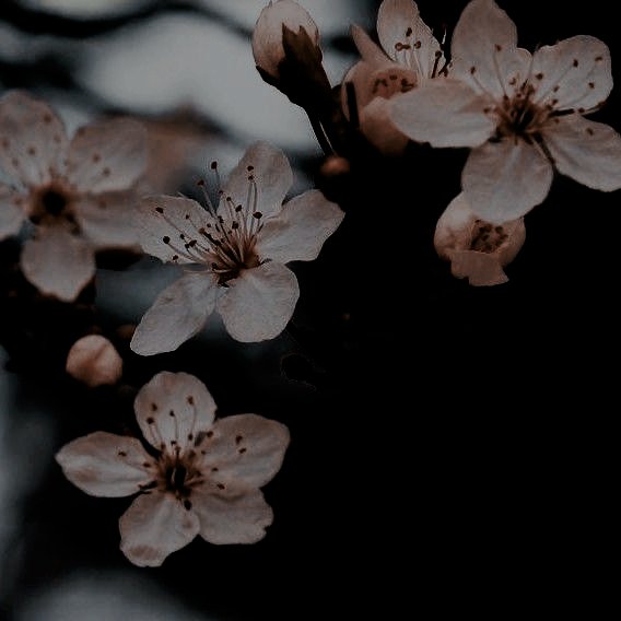 APXCALYPSESNAKE's tweet photo. ㅤㅤㅤㅤㅤㅤLet me 𝒉𝒆𝒍𝒑 you ...
ㅤㅤㅤㅤ https://t.co/JLZTkWAk8a