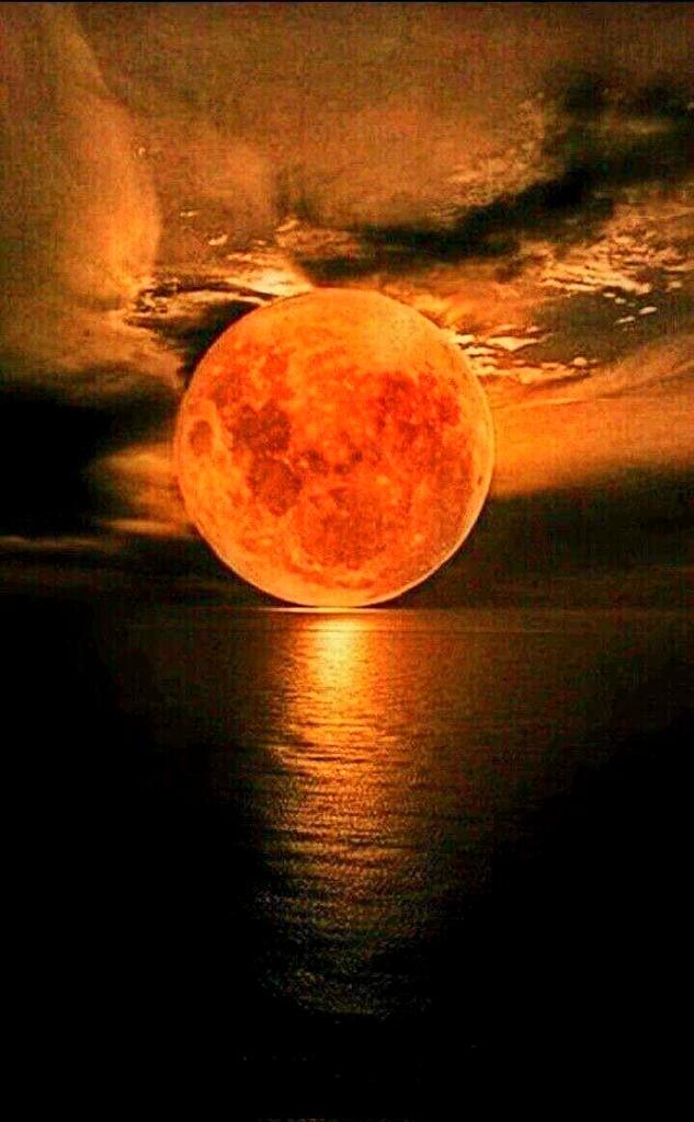 anahady17's tweet photo. (The best day on which the sun has risen is Friday, on which God created Adam, on which He made him enter Paradise, on which God repented of him, and on which He expelled him, and those who are not in the heavens And on it he died, and on it the resurrection will take place https://t.co/RMpO7cjzN7