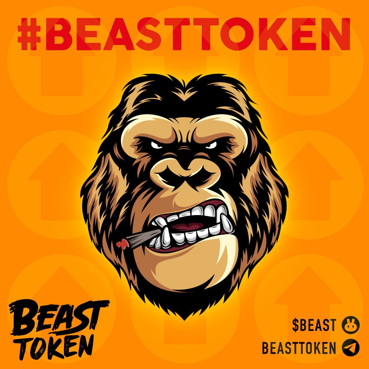 CryptoKy27's tweet photo. 3 months with the $BEAST community is the best months I had. 

Never forget that this best community once exist in #cryptocurrency world! #BEASTTOKEN #BEASTEVERYWHERE https://t.co/OlfHzOTB9q