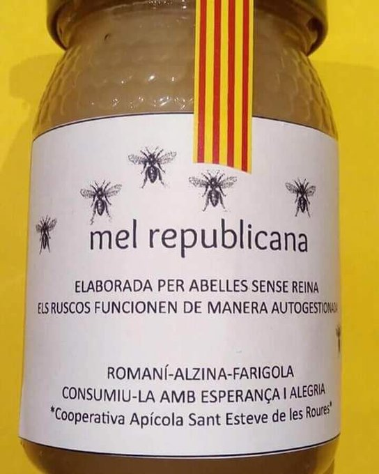 ismaelquesada tweet picture