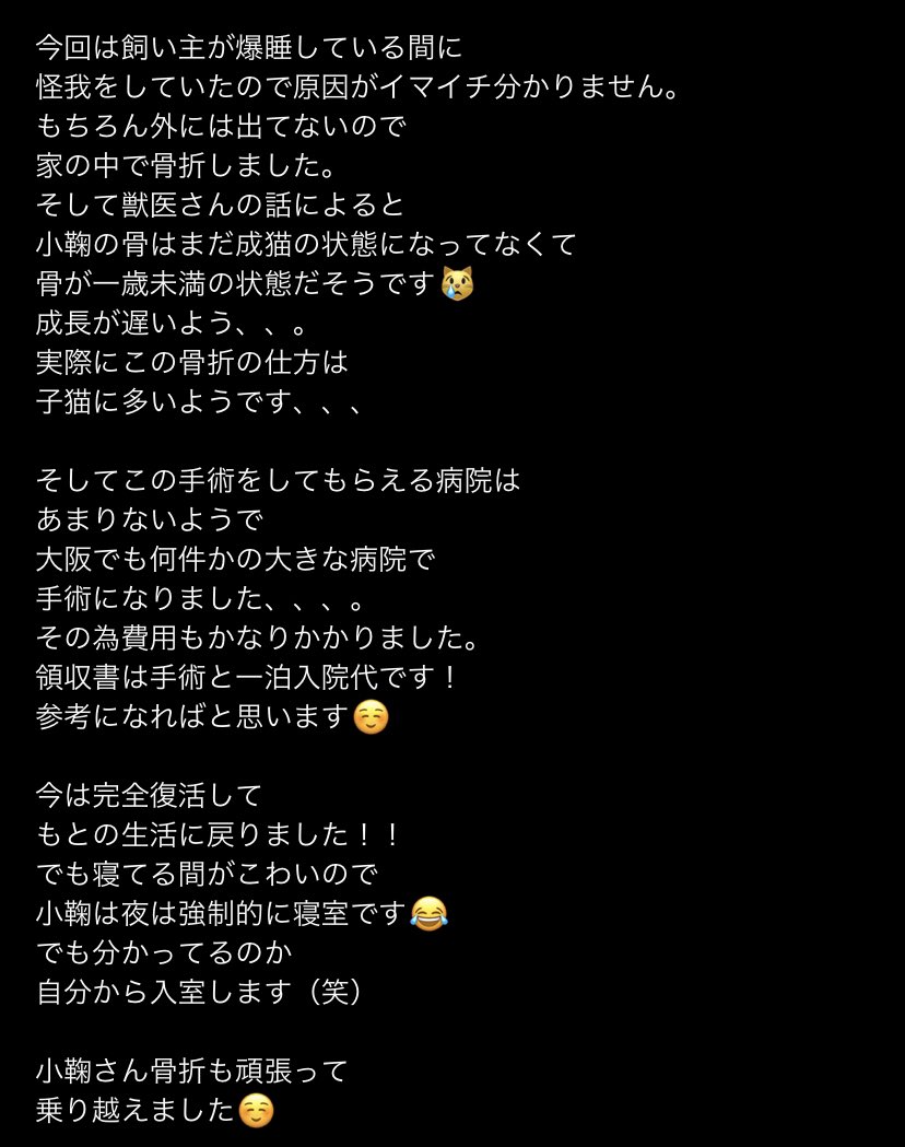 komari0825's tweet photo. お久しぶりです！！
小鞠の骨折は完治してます😊
fipのお薬を飲み終えて
一年が経ちましたので
明日本当に最後の通院で検査です😊 https://t.co/GjeLjWGEdX
