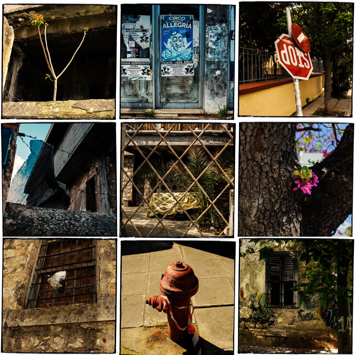 🎉Celebrating 1 year in NFTs 💃🏾
It all started on the 22nd August 2021 with my Three Roads collection, minted with all the hope and happiness of every newcomer to this space. I met brilliant people and I chanted WAGMI along with everyone else. 

1/10