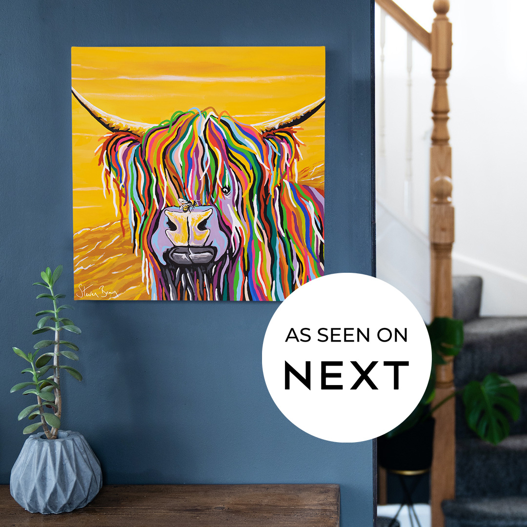 Steven Brown Art on Twitter "If you've browsed the Next Online store