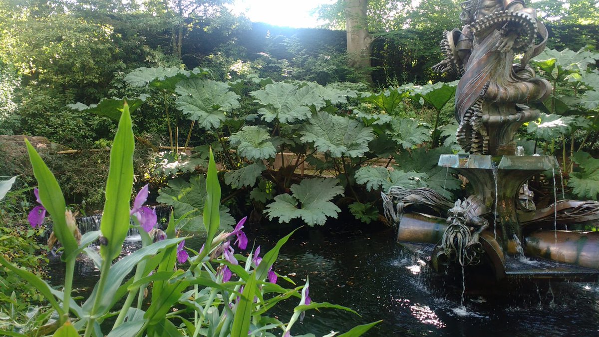JoanneRyan01's tweet photo. @chesterzoo gardens, a cool spot in the Sunken Garden https://t.co/tTJToimkL6
