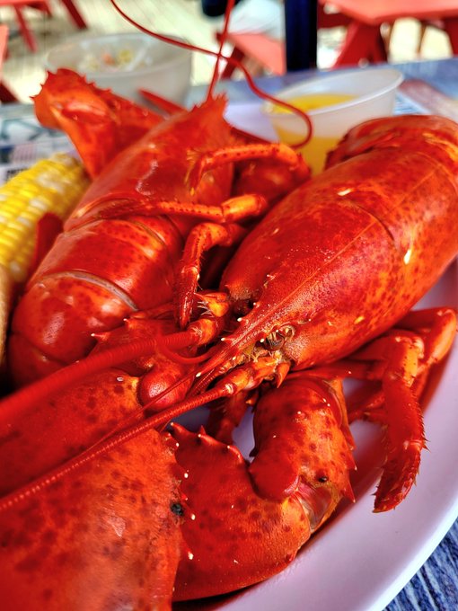 Just give me all the seafood. #food #foodie #seafood https://t.co/BRB7lo9rbF<a href="/tag/food"class="tags">#food</a><a href="/tag/foodie"class="tags">#foodie</a><a href="/tag/seafood"class="tags">#seafood</a>