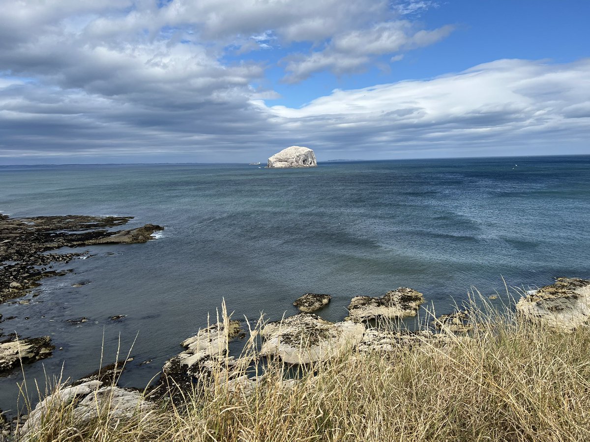 karenlreyburn's tweet photo. Vitamin sea
#restpillar https://t.co/Ik2JoKyd91