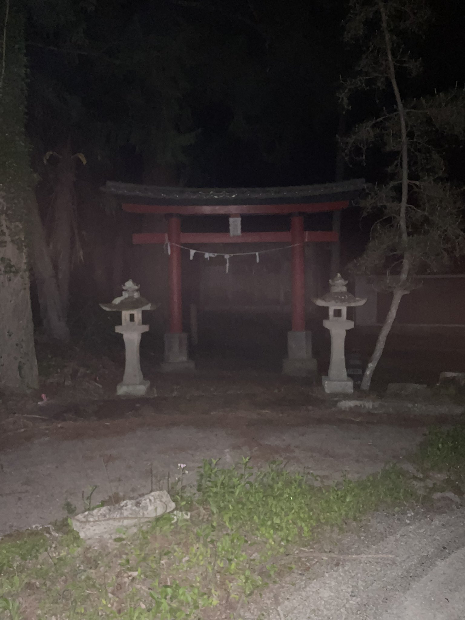 テラニコフ on Twitter 