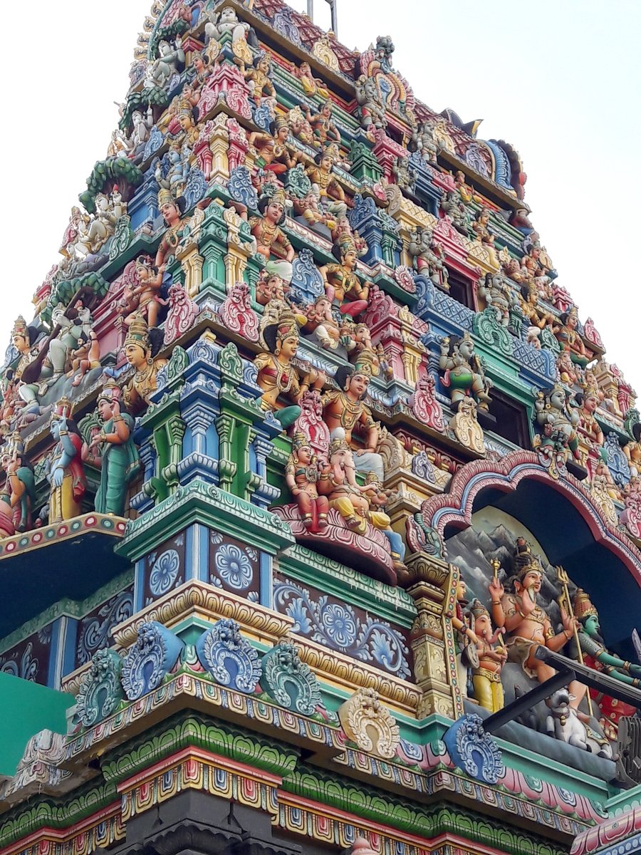 yungenchee.bsky.social tweet media