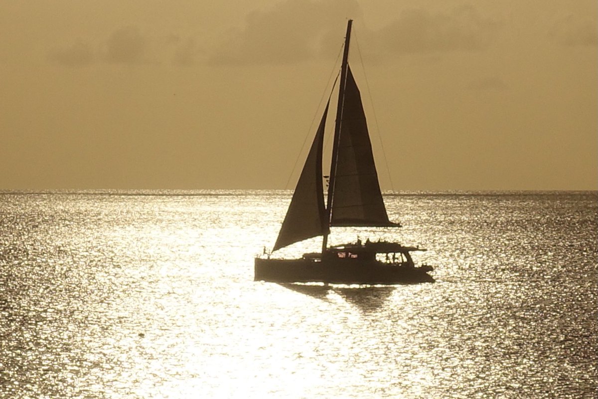 #WorldPhotographyDay “Twenty years from now you will be more disappointed by the things that you didn't do than by the ones you did do. So throw off the bowlines. Sail away from the safe harbor. Catch the trade winds in your sails. Explore. Dream. Discover”