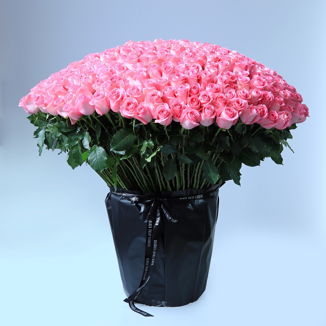 blacktulipqa's tweet photo. Steal one's heart with a big bouquet of pink roses.. Place an order now at https://t.co/5XsJqGasc1 
WhatsApp/Call at +974 5064 2568
Email Us - online.qa@btfgroup.com
#bouquet #forher #pinkroses #bouquet #gifts #flowers #flowerbouquet #handbouquet #bouquetofflowers #moneybouquet https://t.co/QxgeITw5oG