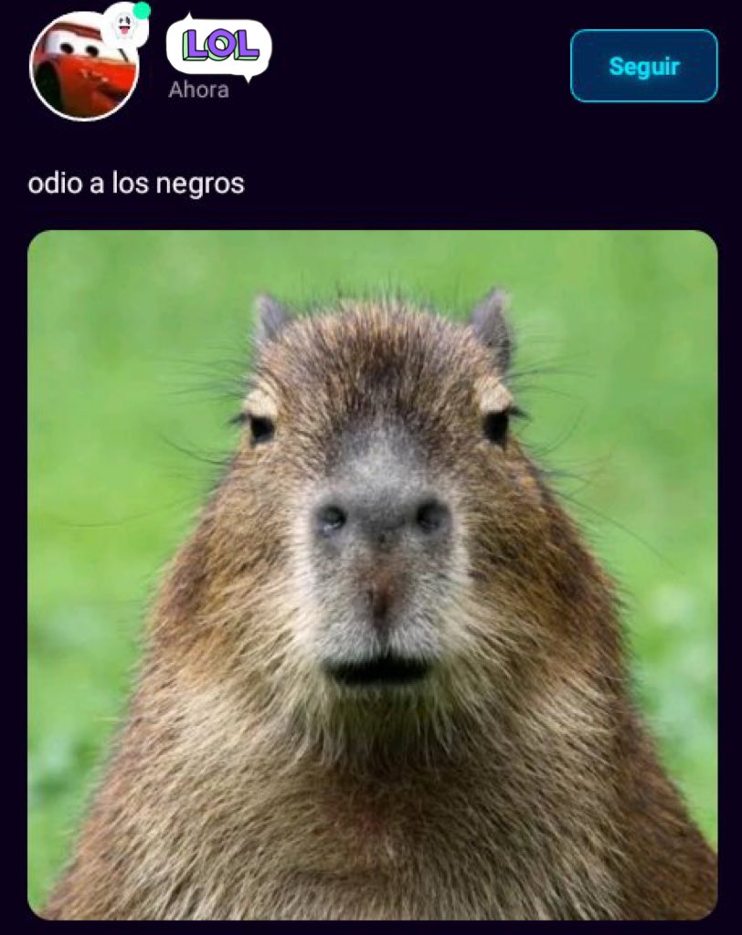 Capturas Amino/Proyect Z tweet media