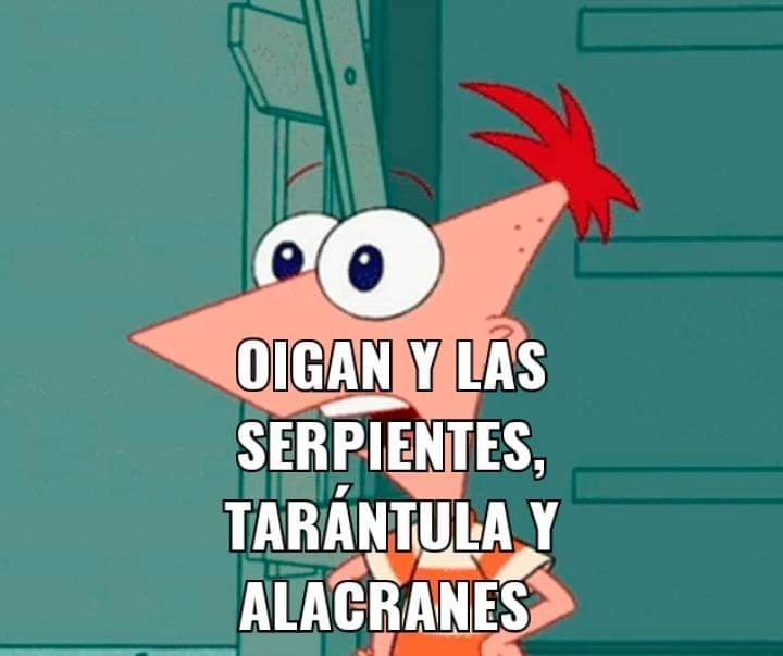 Random_T12's tweet photo. Ví varias imágenes como está, y si están las arañas... Son ellas!! Y en una parte de Jisoo aparecen las peceras con arañas aunque casi no se ven por pedazos aparentes de ramitas
#PINKVENOM https://t.co/hlFg6OyUG3