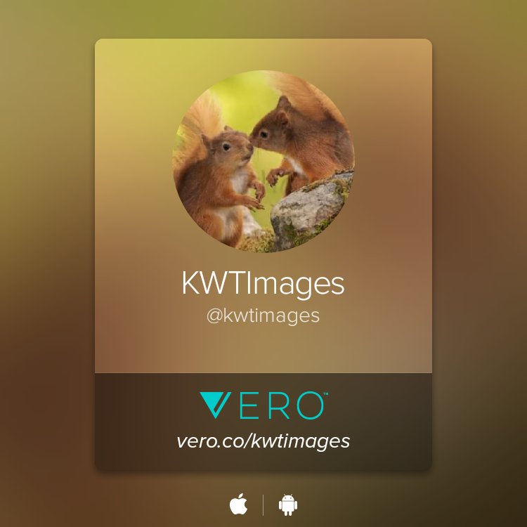 KwtImages's tweet image. vero.co/kwtimages